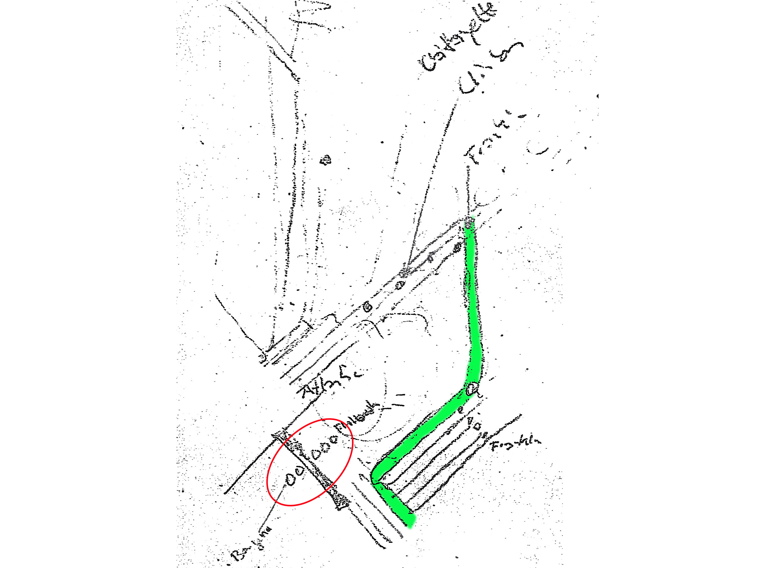 Genesis of the Vignelli subway map